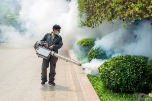 Pest Control San Diego | Mosquito fogging treatments | Flying insect control San Diego | San Diego Pest Management